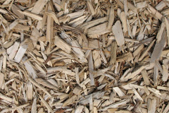 biomass boilers Low Fulney